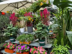 -山水茶艺馆·点心粤菜·30年老字号