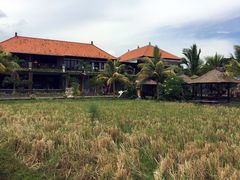 -Bebek Joni Restaurant