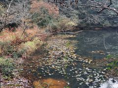 -小格里自然风景区