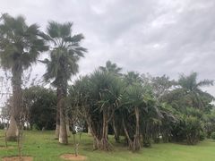 -东莞植物园