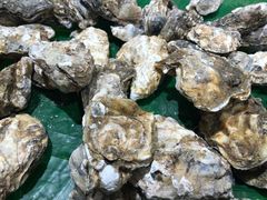 -丹东汇侨希尔顿花园酒店自助餐