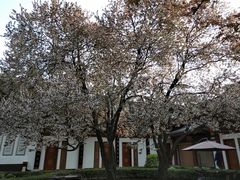 -大唐博相府酒店·陕西官府菜