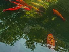 -惠山古镇·寄畅园