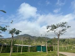 -三亚南山文化旅游区