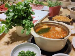 -清真军邺·金富苑肥牛(石坡街旗舰店)