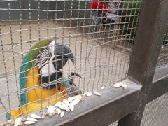 -南宫五洲植物乐园