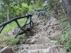 -梧桐山风景名胜区