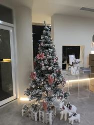 -VE专注问题肌·赛诺龙&科学美肤中心