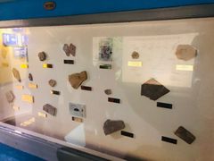 -上海昆虫博物馆