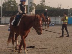 -上海滴水湖皇冠假日酒店