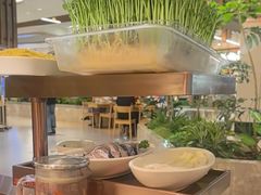 -好彩猪肚鸡(正弘城店)