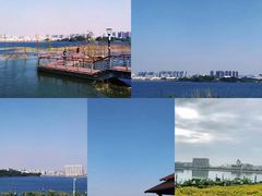 -立新湖公园