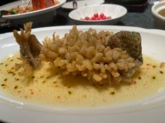 精灵松鼠桂鱼-海味·悦外滩中餐厅(上海宝龙丽筠酒店)