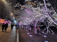 -西北湖绿化广场