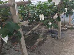 -美家乐农庄·露营·团建(大治路店)