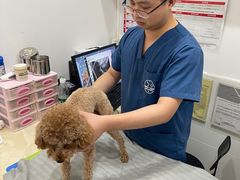 -芭比堂动物医院(广州爱宠下渡路分院)