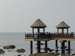 -养马岛旅游度假区