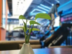 -RoMan罗马健身工作室(莘庄店)