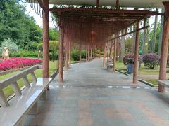 -广州莲花山旅游区