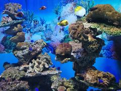 -海合安成都极地海洋公园