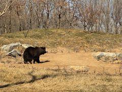 -北京野生动物园