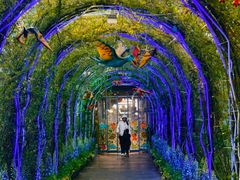 -沈阳植物园