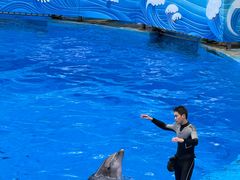 -海合安成都极地海洋公园