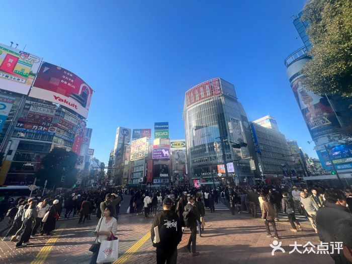 涩谷全向十字路口图片