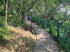 -平湖九龙山旅游度假区