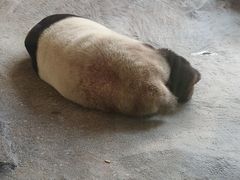 -宁波野生动物园