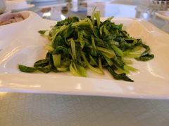 青菜秧-临江仙酒店