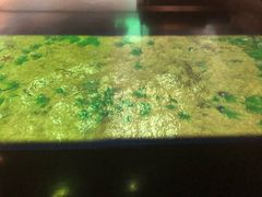 -台州博物馆