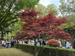 -松鹤楼(山塘街店)