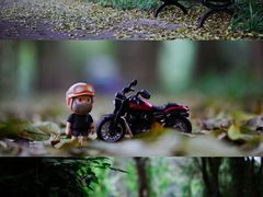 -中国科学院华南植物园