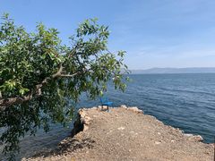 -抚仙湖禄充风景区