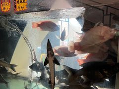 -和乐喜宴海鲜酒家(骏荣广场店)