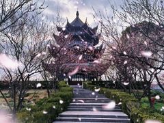 -上海海湾国家森林公园