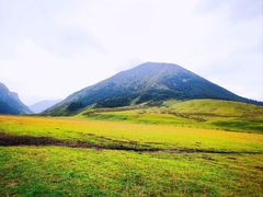 -山丹皇家马场