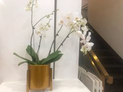 -YESIDO椰岛造型烫发染发
