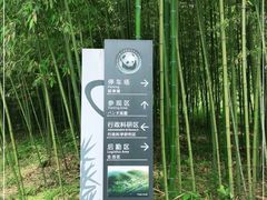 -都江堰中华大熊猫苑