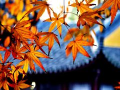-圆通寺