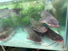 -食理八湘(中海城风情苑北区店)