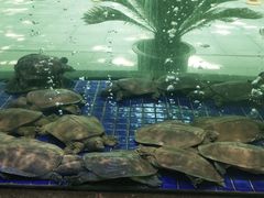 -苏福记·海鲜佬(凤城四路店)