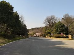 -金陵矩阵(聚宝山公园店)