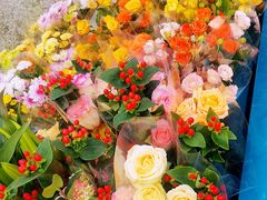 -青岛蓝海大饭店·渔歌舫餐厅(崂山店)