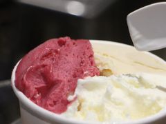-Dip in Gelato(富民路店)