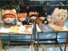 -柴务处·柴犬主题狗咖