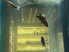 门面-琴寿司居酒屋(中山广场店)