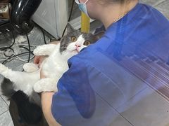 -宠福鑫康馨动物医院·骨科·眼科