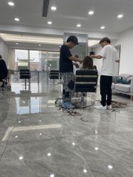 -D.z Salon 无痕接发潮店